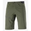 Salomon Wayfarer Herrshorts