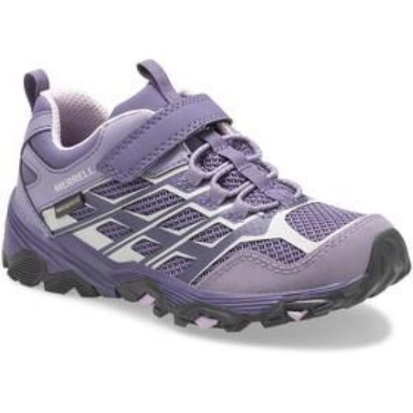 Merrell Moab FST Low Purple
