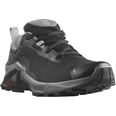 Salomon X Reveal 2 GTX W Black