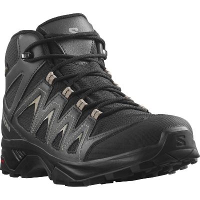 Salomon X Braze Mid GTX