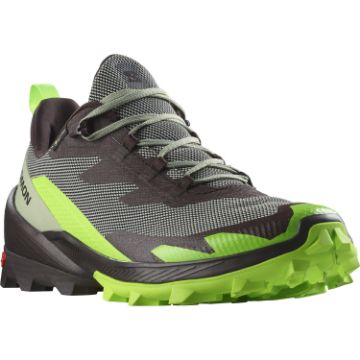 Salomon Cross Over 2 GTX Desert Sage/Green Gecko/Chocolate Plum