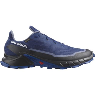 Salomon Alphacross 5 GTX Blue Print/Lapis Blue/White