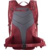 Salomon Trailblazer 20