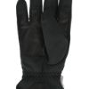 Zanier Adventure Gore-Tex Handske i sort, set på kryds