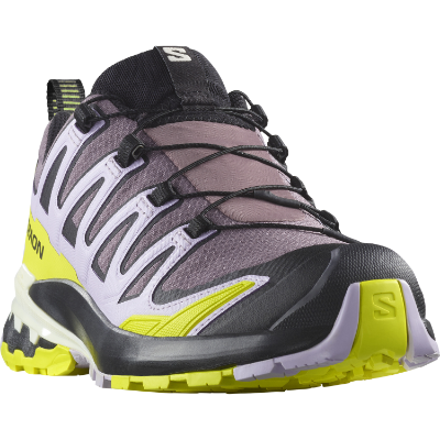 Salomon Xa Pro 3d V9 GTX W i farven Moonscape / Orchid Petal