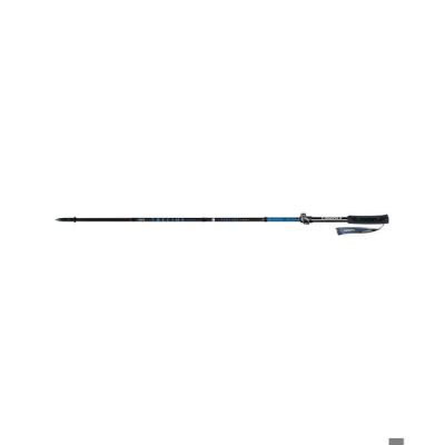 Masters Trekking pole trecime carbon