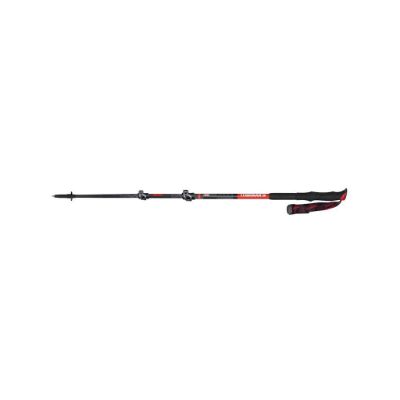 Masters Trekking pole eiger calu