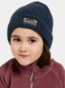 Didriksons Bus kids beanie