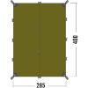 2493 Light-Olive.jpg