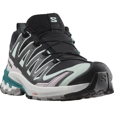 Salomon Xa Pro 3d V9 GTX W