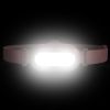 smini_rose_38461_maximum_light.jpg