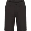 Didriksons Ian usx shorts