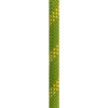 EDELWEISS_C2P102.50.A_2_WEB.png