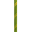 EDELWEISS_C2P102.50.A_2_WEB.png