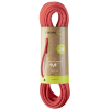 neon-coral-71341_NeonCoral.png