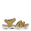 Green Comfort Corsica Caia 2025