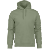 Didriksons Ven usx hoodie - Light Moss