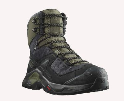 Visa detaljer för Salomon Quest Element GTX Bild på Salomon Quest Element GTX