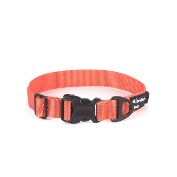 80561-80564_tough-collar-orange.jpg