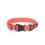 80561-80564_tough-collar-orange.jpg