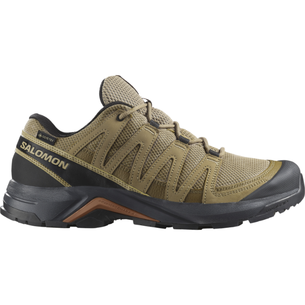 Salomon X-Adventure Recon GTX i farven Kelp / Kelp / Sierra